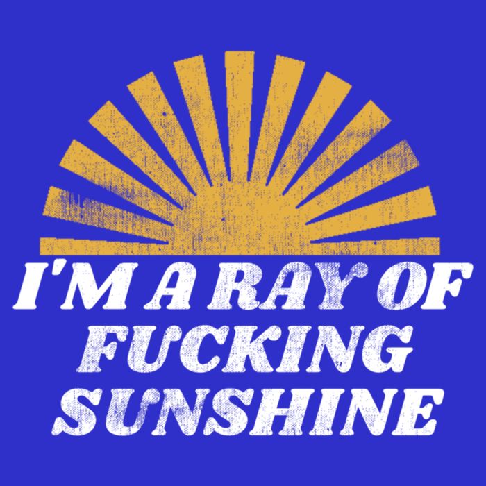 Funny Retro I'm A Ray Of Fucking Sunshine Gift Polo