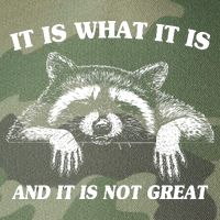 Funny Raccoon It Is What It Is And It Is Not Great Legacy Tie Dye Trucker Hat