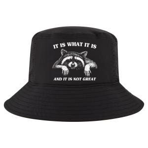 Funny Raccoon It Is What It Is And It Is Not Great Cool Comfort Performance Bucket Hat