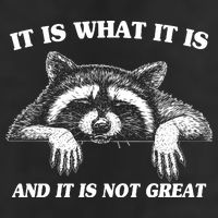 Funny Raccoon It Is What It Is And It Is Not Great Cool Comfort Performance Bucket Hat