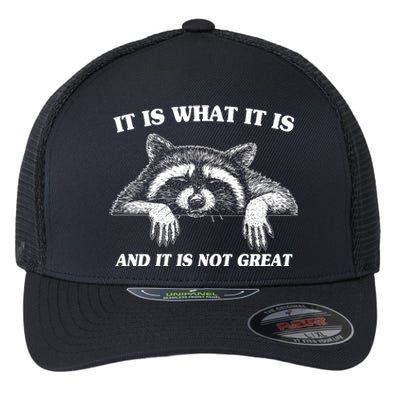 Funny Raccoon It Is What It Is And It Is Not Great Flexfit Unipanel Trucker Cap