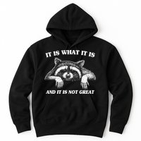 Funny Raccoon It Is What It Is And It Is Not Great Hoodie