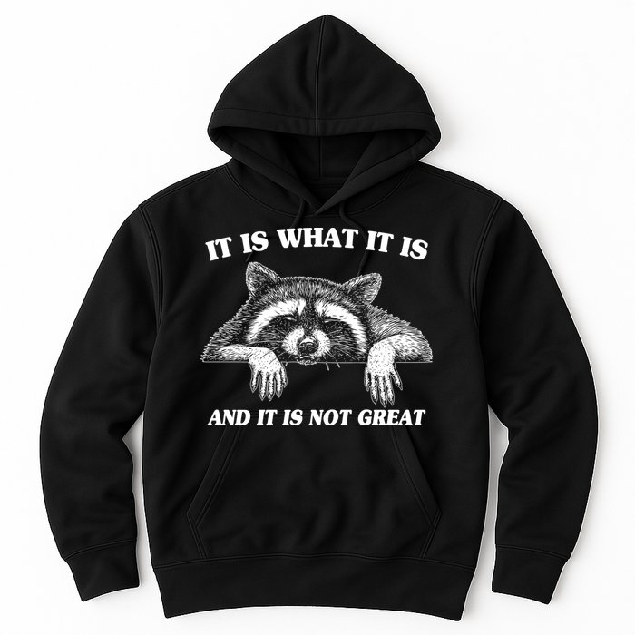 Funny Raccoon It Is What It Is And It Is Not Great Hoodie
