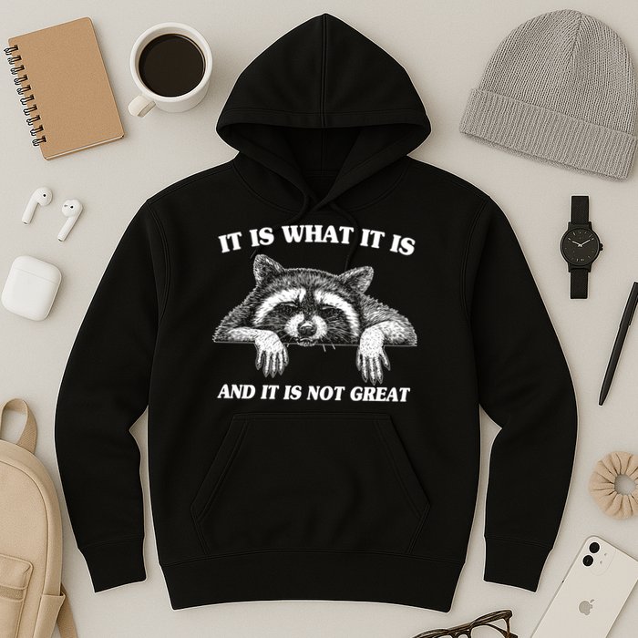 Funny Raccoon It Is What It Is And It Is Not Great Hoodie