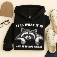 Funny Raccoon It Is What It Is And It Is Not Great Hoodie
