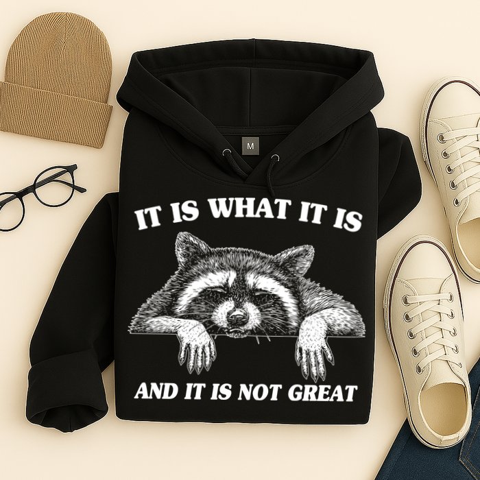 Funny Raccoon It Is What It Is And It Is Not Great Hoodie