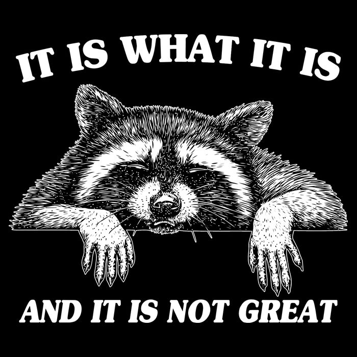 Funny Raccoon It Is What It Is And It Is Not Great Hoodie