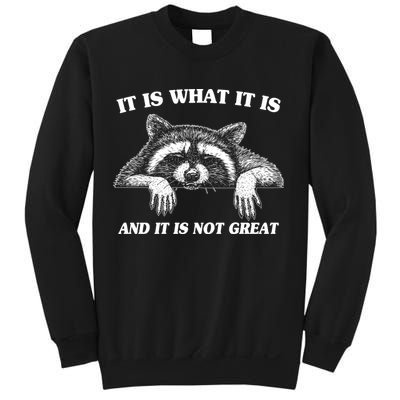 Funny Raccoon It Is What It Is And It Is Not Great Sweatshirt