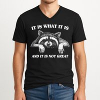 Funny Raccoon It Is What It Is And It Is Not Great V-Neck T-Shirt