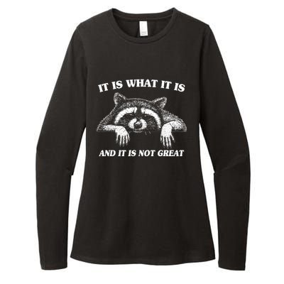 Funny Raccoon It Is What It Is And It Is Not Great Womens CVC Long Sleeve Shirt