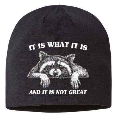 Funny Raccoon It Is What It Is And It Is Not Great Sustainable Beanie