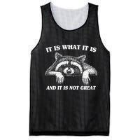 Funny Raccoon It Is What It Is And It Is Not Great Mesh Reversible Basketball Jersey Tank