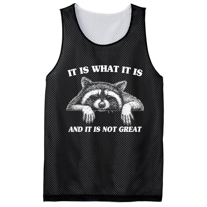 Funny Raccoon It Is What It Is And It Is Not Great Mesh Reversible Basketball Jersey Tank