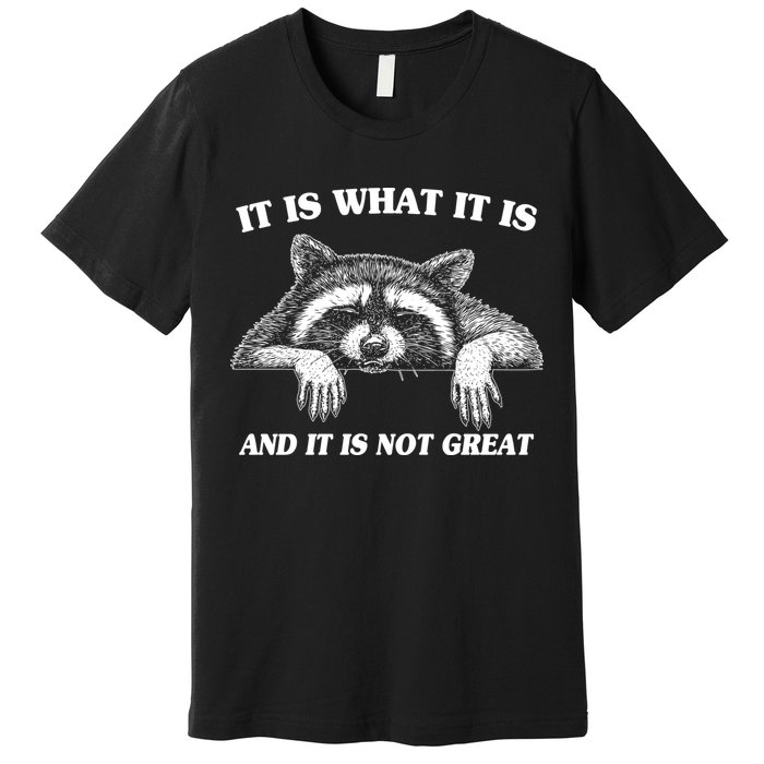 Funny Raccoon It Is What It Is And It Is Not Great Premium T-Shirt