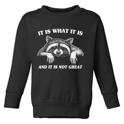 Funny Raccoon It Is What It Is And It Is Not Great Toddler Sweatshirt