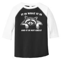 Funny Raccoon It Is What It Is And It Is Not Great Toddler Fine Jersey T-Shirt