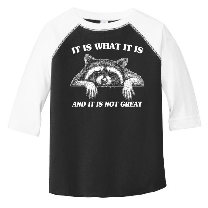 Funny Raccoon It Is What It Is And It Is Not Great Toddler Fine Jersey T-Shirt