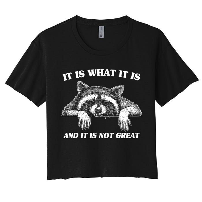 Funny Raccoon It Is What It Is And It Is Not Great Crop Top