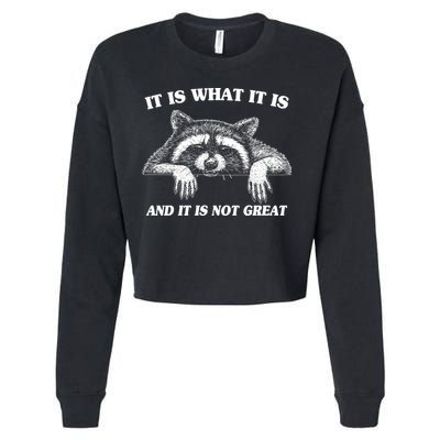 Funny Raccoon It Is What It Is And It Is Not Great Cropped Pullover Crew