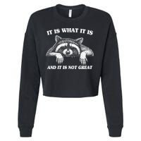 Funny Raccoon It Is What It Is And It Is Not Great Cropped Pullover Crew
