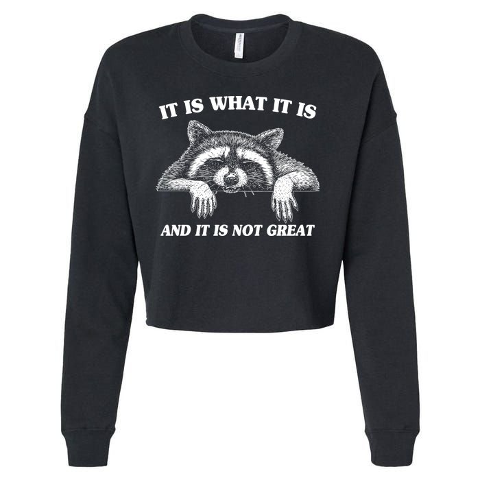 Funny Raccoon It Is What It Is And It Is Not Great Cropped Pullover Crew