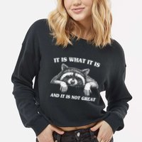 Funny Raccoon It Is What It Is And It Is Not Great Cropped Pullover Crew