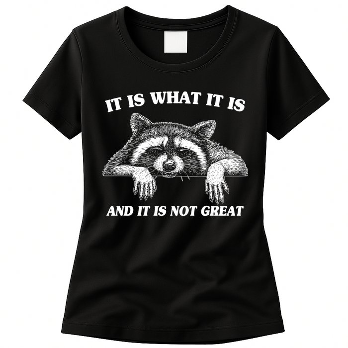 Funny Raccoon It Is What It Is And It Is Not Great Womens T-Shirt