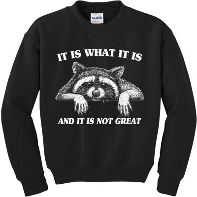 Funny Raccoon It Is What It Is And It Is Not Great Kids Sweatshirt