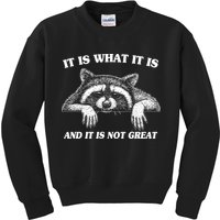 Funny Raccoon It Is What It Is And It Is Not Great Kids Sweatshirt