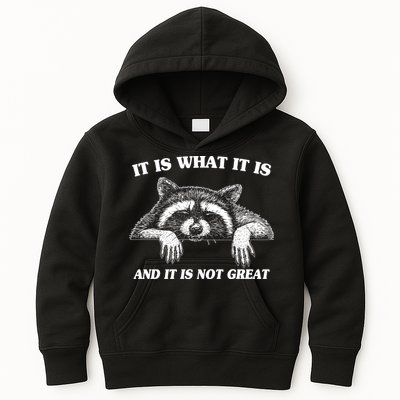 Funny Raccoon It Is What It Is And It Is Not Great Kids Hoodie