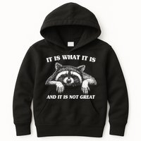 Funny Raccoon It Is What It Is And It Is Not Great Kids Hoodie