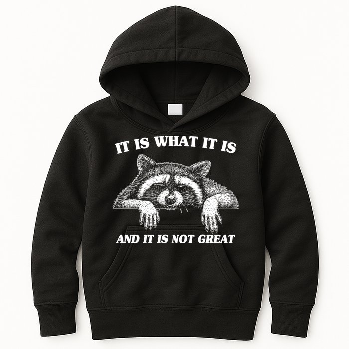 Funny Raccoon It Is What It Is And It Is Not Great Kids Hoodie