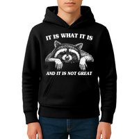 Funny Raccoon It Is What It Is And It Is Not Great Kids Hoodie