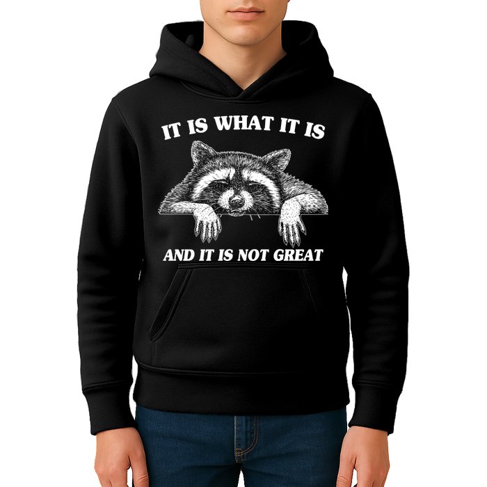Funny Raccoon It Is What It Is And It Is Not Great Kids Hoodie