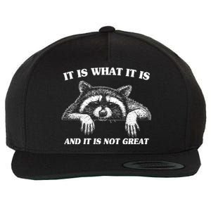 Funny Raccoon It Is What It Is And It Is Not Great Wool Snapback Cap