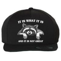 Funny Raccoon It Is What It Is And It Is Not Great Wool Snapback Cap