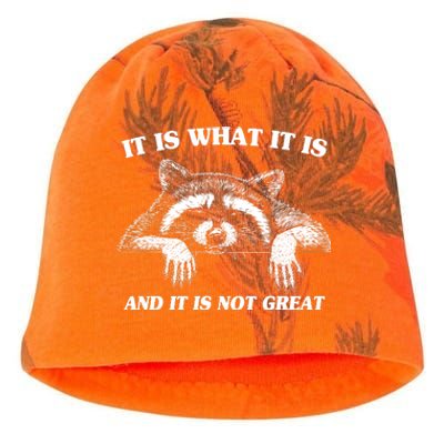 Funny Raccoon It Is What It Is And It Is Not Great Kati - Camo Knit Beanie