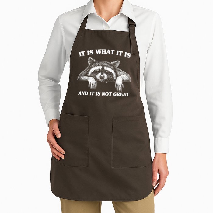 Funny Raccoon It Is What It Is And It Is Not Great Apron