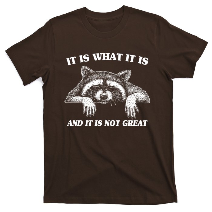 Funny Raccoon It Is What It Is And It Is Not Great T-Shirt