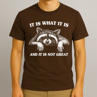 Funny Raccoon It Is What It Is And It Is Not Great T-Shirt
