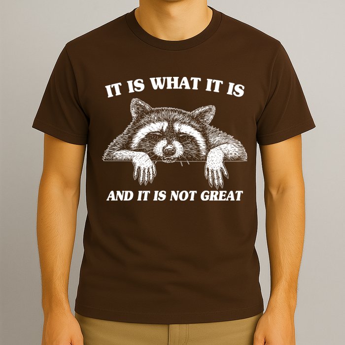 Funny Raccoon It Is What It Is And It Is Not Great T-Shirt