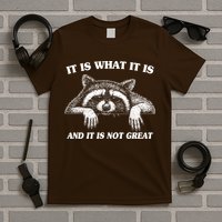Funny Raccoon It Is What It Is And It Is Not Great T-Shirt