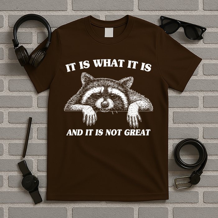 Funny Raccoon It Is What It Is And It Is Not Great T-Shirt