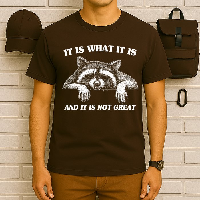 Funny Raccoon It Is What It Is And It Is Not Great T-Shirt