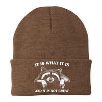 Funny Raccoon It Is What It Is And It Is Not Great Knit Cap Winter Beanie