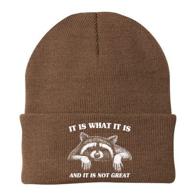 Funny Raccoon It Is What It Is And It Is Not Great Knit Cap Winter Beanie