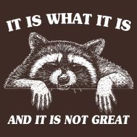 Funny Raccoon It Is What It Is And It Is Not Great Cooling Performance Long Sleeve Crew