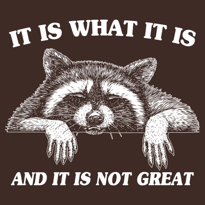 Funny Raccoon It Is What It Is And It Is Not Great Cooling Performance Long Sleeve Crew
