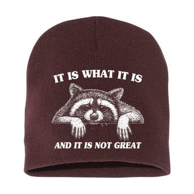 Funny Raccoon It Is What It Is And It Is Not Great Short Acrylic Beanie