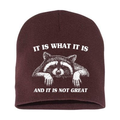 Funny Raccoon It Is What It Is And It Is Not Great Short Acrylic Beanie